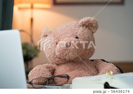 弁護士 クマ イメージ素材 弁護士 クマ イメージ素材 56436174