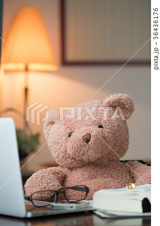 弁護士　クマ　イメージ素材 56436176