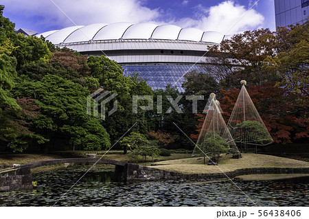 （東京都）小石川後楽園　紅葉 56438406