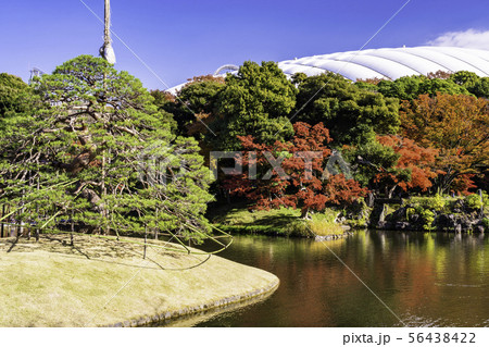 東京都 小石川後楽園 紅葉の写真素材