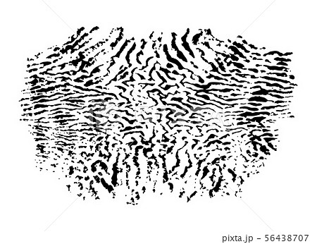 Paint imprint, sand dune surface texture, abstract Paint imprint, sand dune surface texture, abstract 56438707