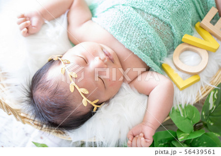ニューボーンフォト 56439561