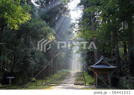 平泉寺白山神社 ／ 白山国立公園  【 福井県勝山市平泉寺町 】 56441332