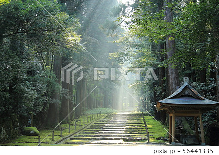 平泉寺白山神社  【 福井県勝山市平泉寺町 】 56441335