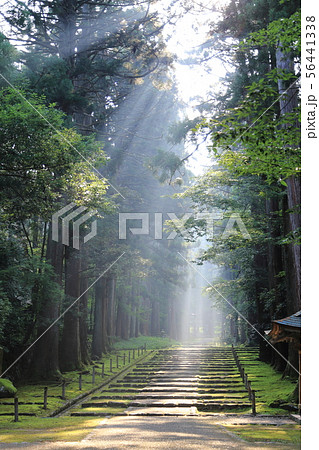 平泉寺白山神社 ／ 白山国立公園  【 福井県勝山市平泉寺町 】 56441338