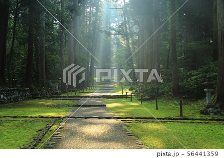 平泉寺白山神社 / 白山国立公園 【 福井県勝山市平泉寺町 】 平泉寺白山神社 / 白山国立公園 【 福井県勝山市平泉寺町 】 56441359