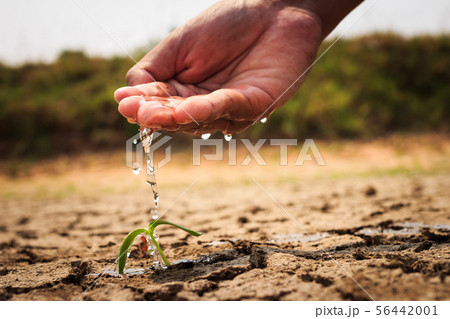 Hand watering the ground barren 56442001