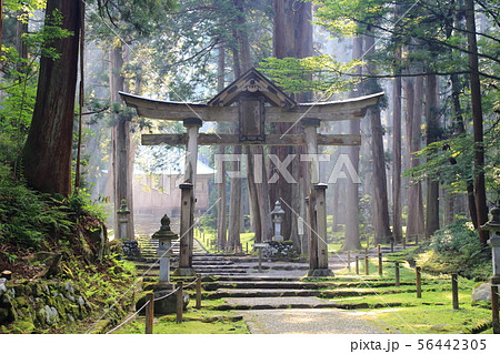平泉寺白山神社 【 福井県勝山市平泉寺町 】 平泉寺白山神社 【 福井県勝山市平泉寺町 】 56442305