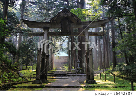 平泉寺白山神社 【 福井県勝山市平泉寺町 】 平泉寺白山神社 【 福井県勝山市平泉寺町 】 56442307