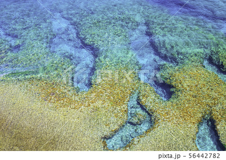 沖縄本島最北端の絶景 辺戸岬の透明度の高い海 沖縄本島最北端の絶景 辺戸岬の透明度の高い海 56442782