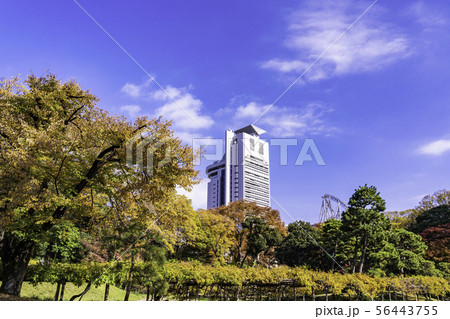 （東京都）小石川後楽園　紅葉 56443755