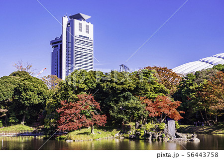 (東京都)小石川後楽園 紅葉 (東京都)小石川後楽園 紅葉 56443758