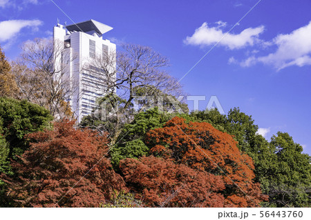 （東京都）小石川後楽園　紅葉 56443760