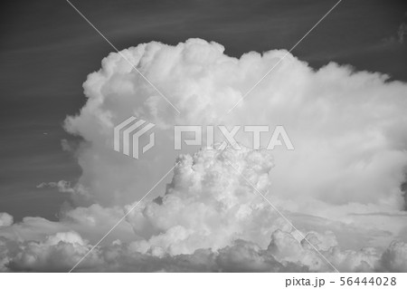 ドラマティックな涌き雲（モノクロ）　　アートな涌き雲（モノクロ）　　積乱雲大発生 56444028