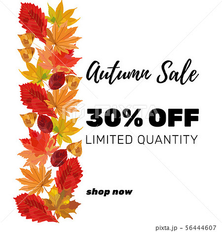 Autumn sale banner template. Colorful fall leaves 56444607
