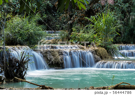 Tat Kuang Si waterfalls near Luang Prabang, Laos 56444786