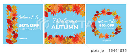 Set of autumn sale banners Set of autumn sale banners 56444836