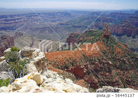 グランドキャニオン　ノースリム　（インペリアルポイント） 56445137