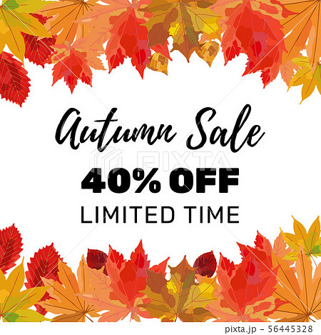 Autumn sale banner template. Colorful fall leaves 56445328