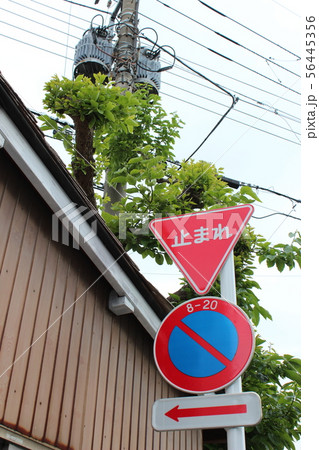 道路標識 一時停止・駐車禁止・終わり 道路標識 一時停止・駐車禁止・終わり 56445356