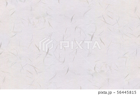 和紙　テクスチャー 56445815