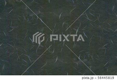 和紙　テクスチャー 56445819