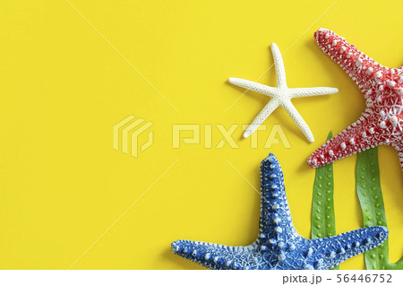 Colorful starfishes on yellow background with free 56446752