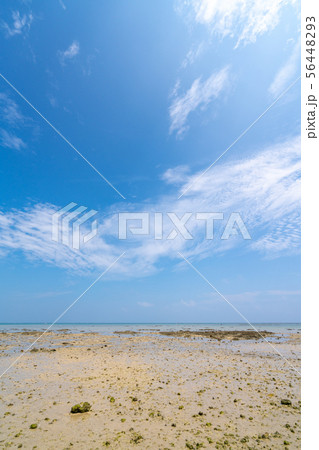 海イメージ 56448293