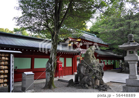 大国魂神社の写真 56448889