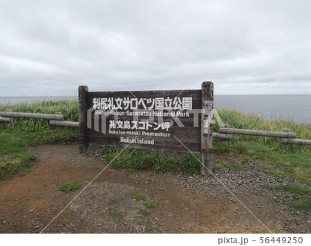 礼文島　スコトン岬 56449250