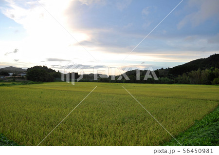 勝浦つるんつるん温泉道中の道の写真 勝浦つるんつるん温泉道中の道の写真 56450981