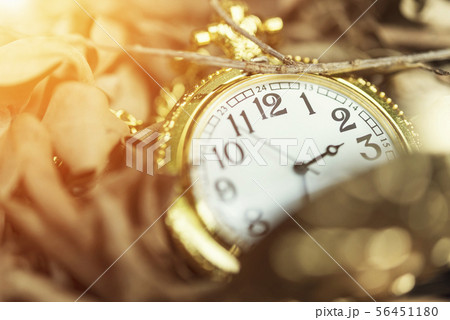 Closeup of an old clock on dry leaves on ground 56451180