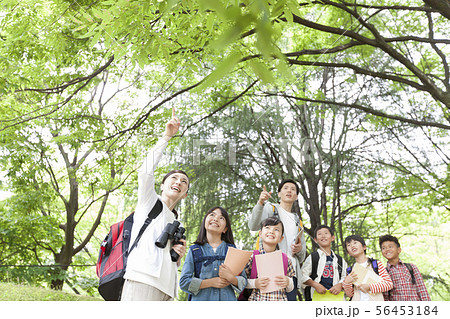 課外学習中の小学生と先生 課外学習中の小学生と先生 56453184