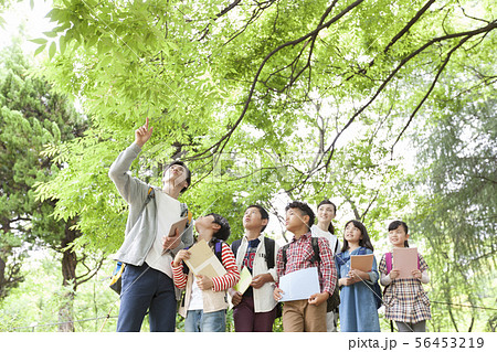 課外学習中の小学生と先生 56453219