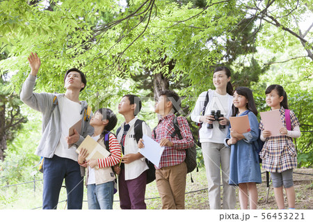 課外学習中の小学生と先生 56453221