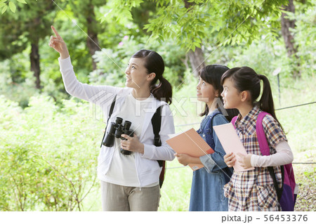 課外学習中の小学生と先生 課外学習中の小学生と先生 56453376