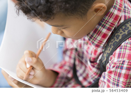 勉強をする小学生 勉強をする小学生 56453409