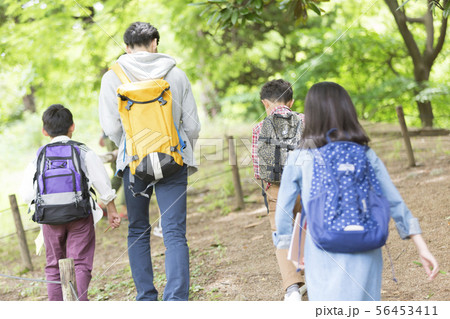 課外学習中の小学生と先生の後姿 56453411