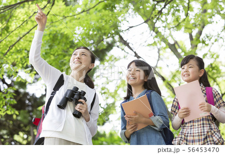 課外学習中の小学生と先生 56453470