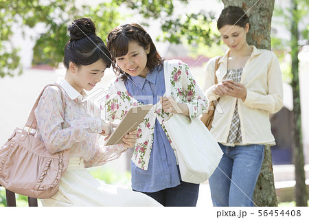 3人の女子大生 3人の女子大生 56454408