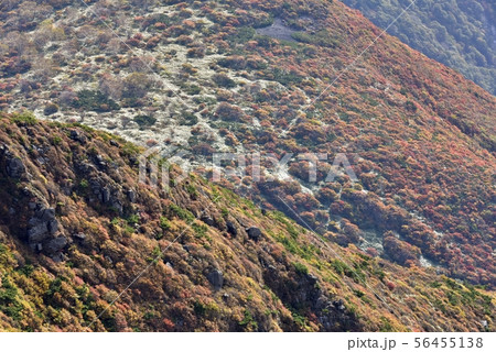那須連山　朝日岳からの紅葉の山腹 56455138
