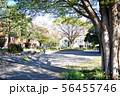 東神奈川近辺の公園の写真 56455746