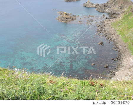 礼文島 トレッキング 礼文島 トレッキング 56455870