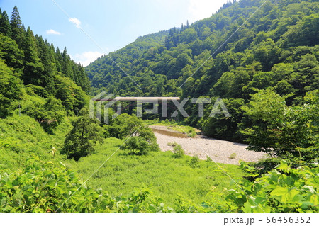 打波川 【福井県大野市・県道173号 上小池勝原線】 打波川 【福井県大野市・県道173号 上小池勝原線】 56456352