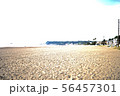 三浦海岸の写真 56457301