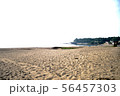 三浦海岸の写真 56457303