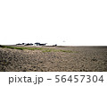 三浦海岸の写真 56457304