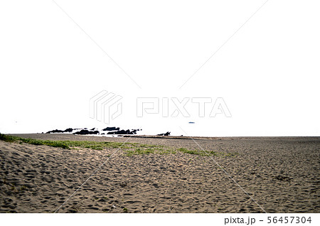 三浦海岸の写真 三浦海岸の写真 56457304