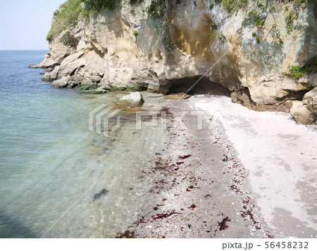 綺麗な海岸 56458232