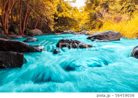 Tat Ton waterfall in Tat-Ton national park in Tat Ton waterfall in Tat-Ton national park in 56459036